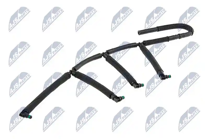 NTY BPP-WW-000