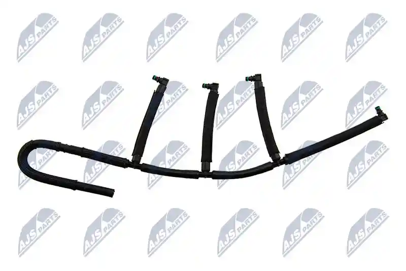 NTY BPP-WW-000