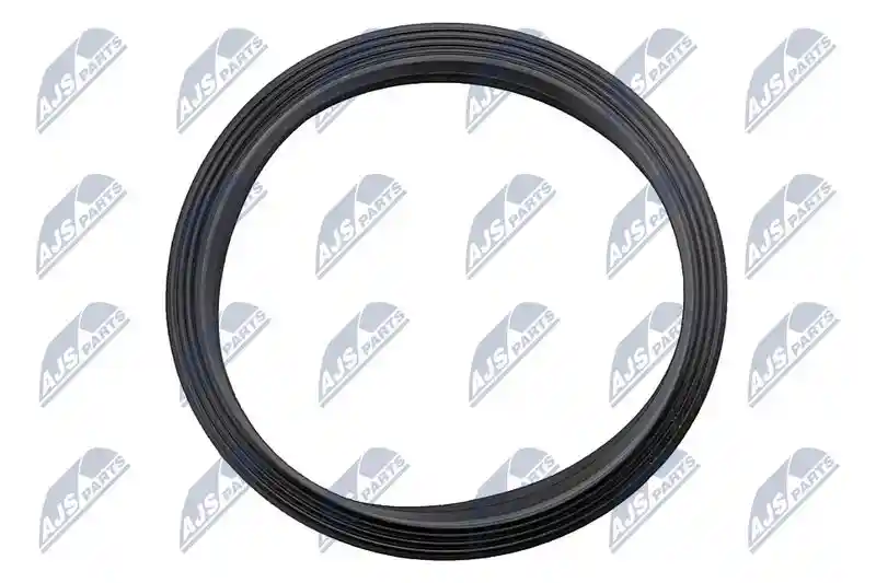 NTY BPP-WW-005