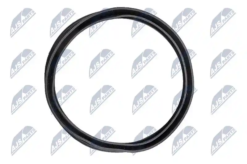 NTY BPP-WW-006