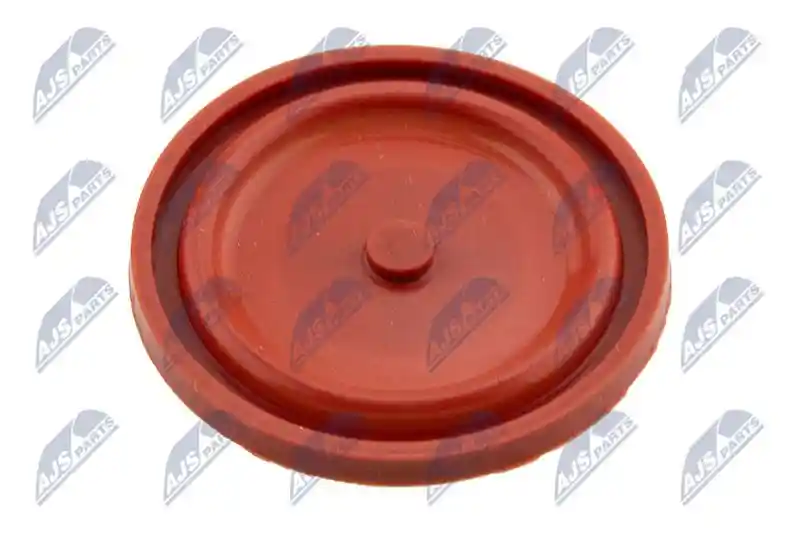 NTY BPZ-CT-005