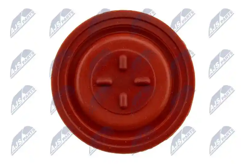NTY BPZ-CT-005
