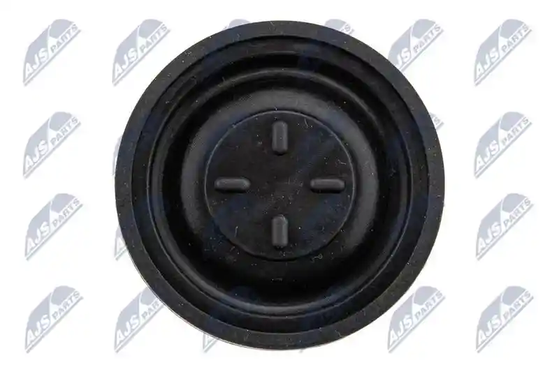NTY BPZ-CT-005