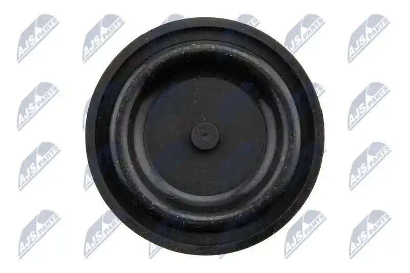 NTY BPZ-CT-005