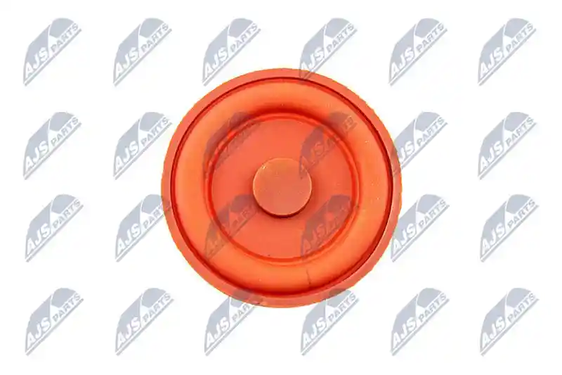 NTY BPZ-PL-006