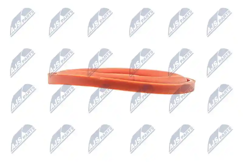 NTY BPZ-PL-006