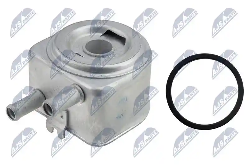 NTY CCL-CT-002