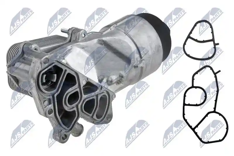NTY CCL-CT-004