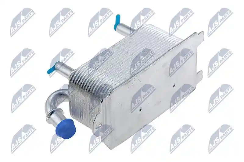 NTY CCL-FR-010