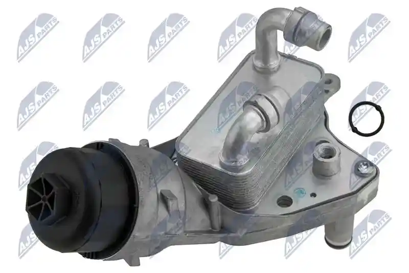 NTY CCL-PL-005