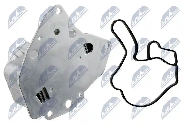 NTY CCL-PL-005A