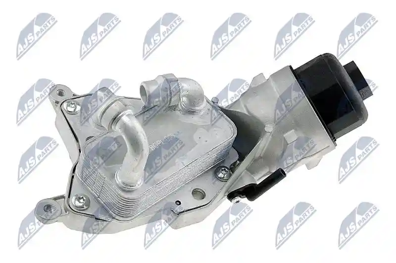 NTY CCL-PL-006