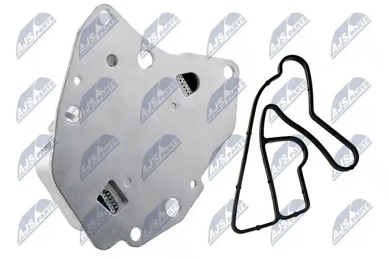 NTY CCL-PL-006A
