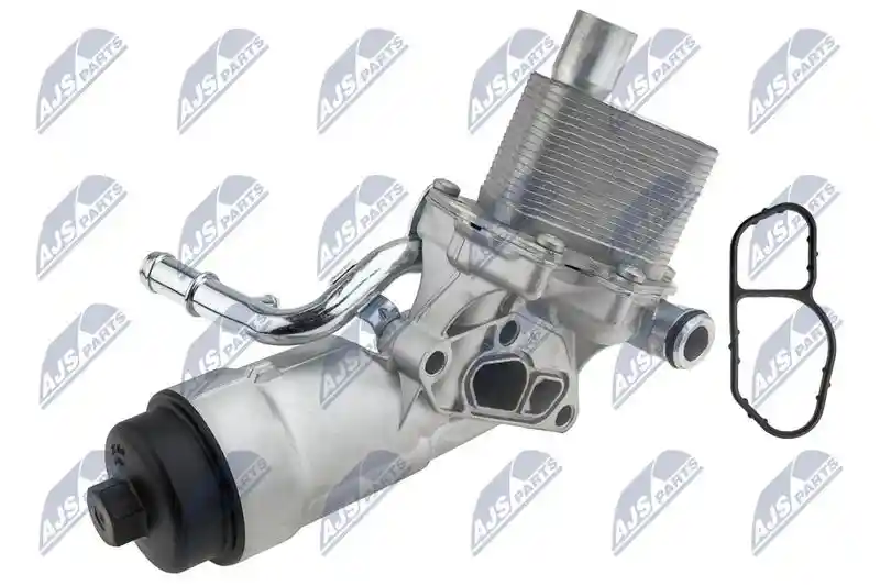 NTY CCL-PL-007