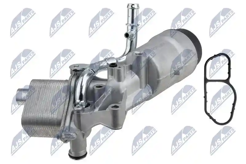 NTY CCL-PL-007