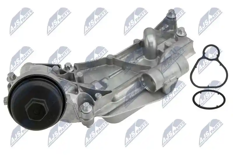 NTY CCL-PL-013