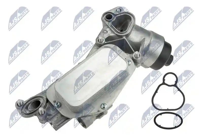 NTY CCL-PL-013