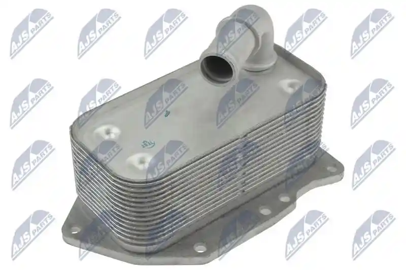NTY CCL-PL-020