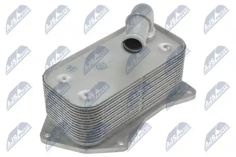 NTY CCL-PL-021