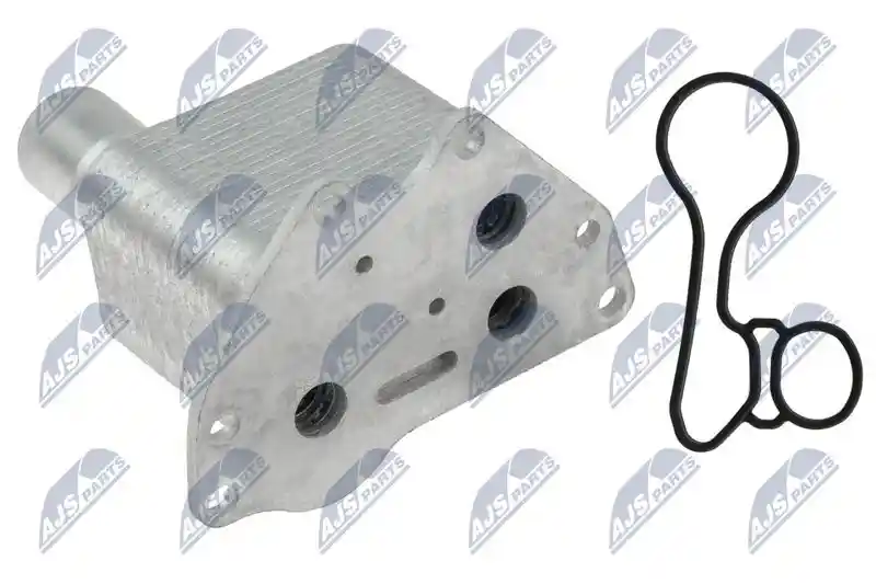 NTY CCL-PL-025