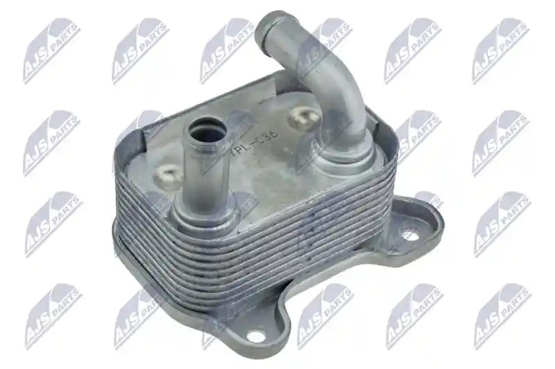 NTY CCL-PL-036