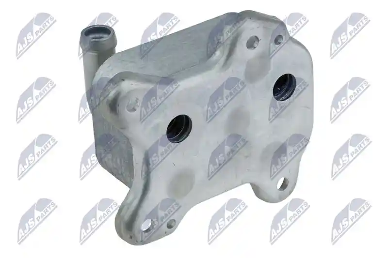 NTY CCL-PL-036