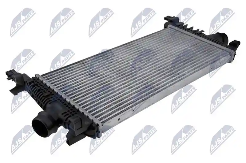 NTY CNG-PL-018