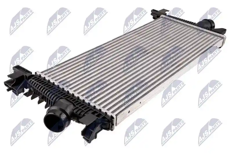 NTY CNG-PL-021