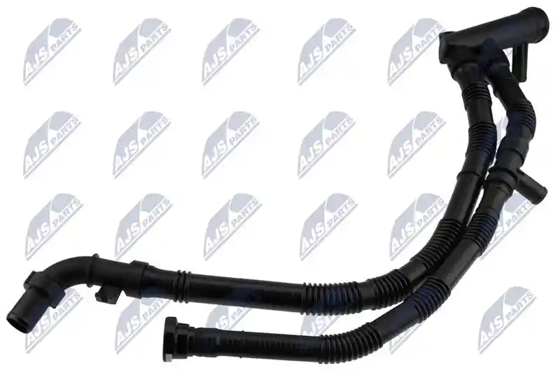 NTY CPP-CT-003