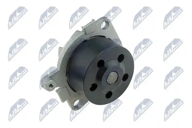 NTY CPW-AR-019