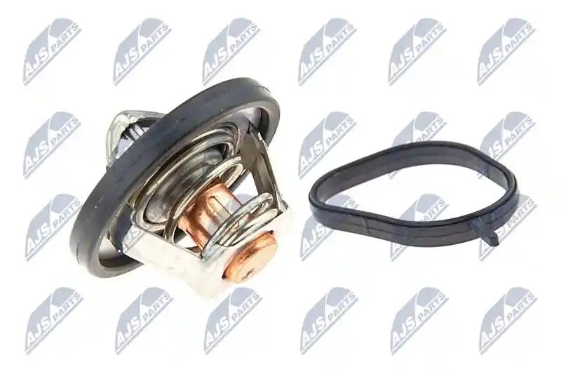 NTY CTM-FR-011