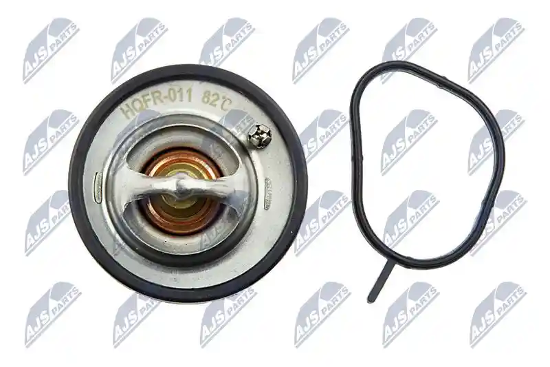NTY CTM-FR-011