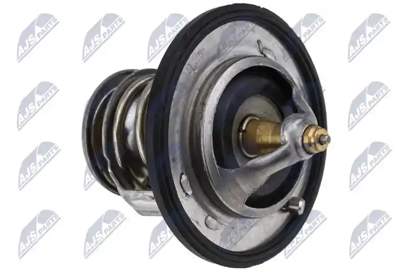 NTY CTM-NS-003