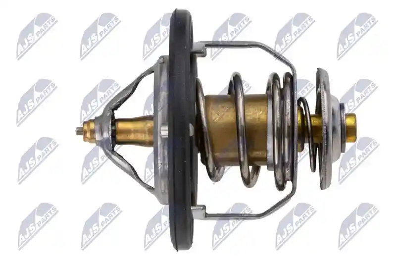 NTY CTM-NS-003