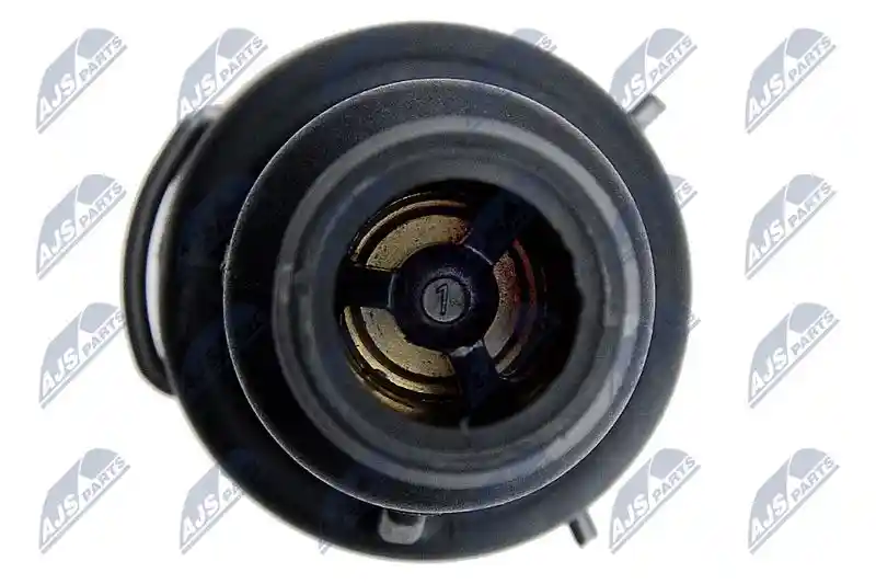 NTY CTM-WW-036