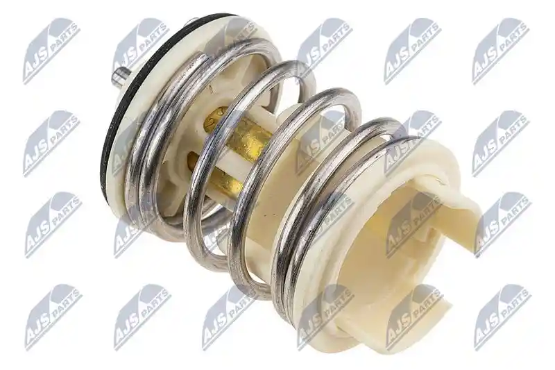 NTY CTM-WW-091