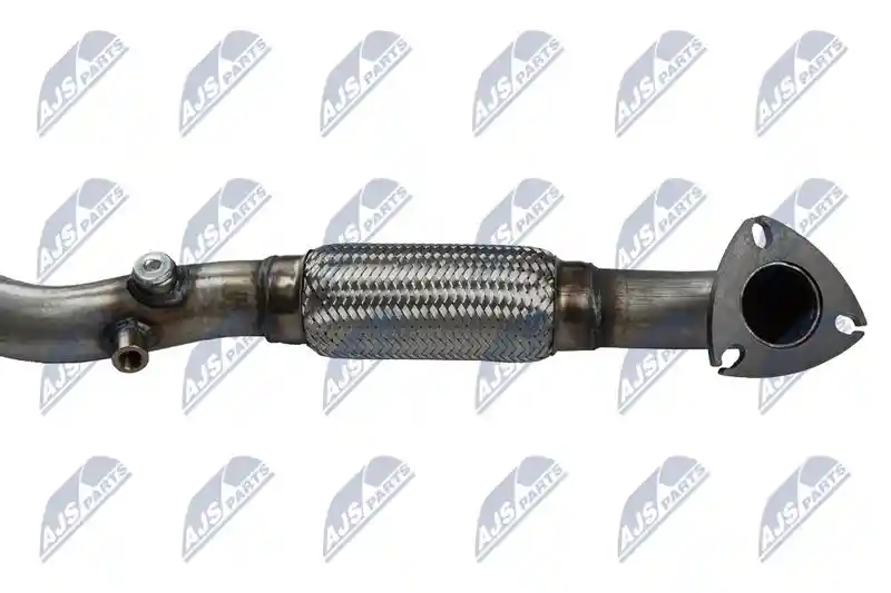 NTY DPF-PL-010