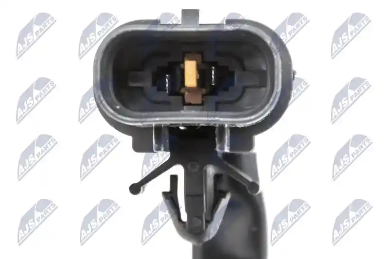 NTY EAG-MS-006