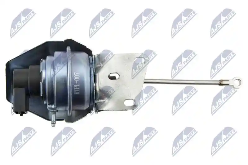 NTY ECD-PL-007