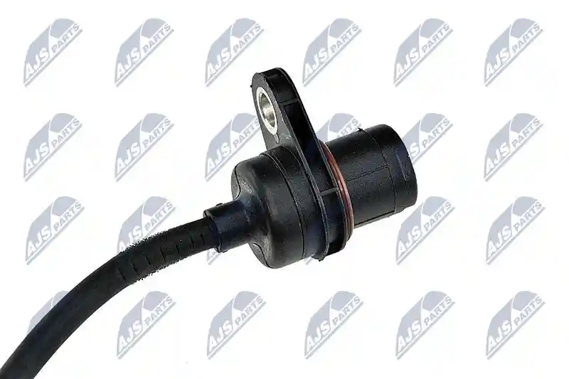 NTY ECK-WW-001