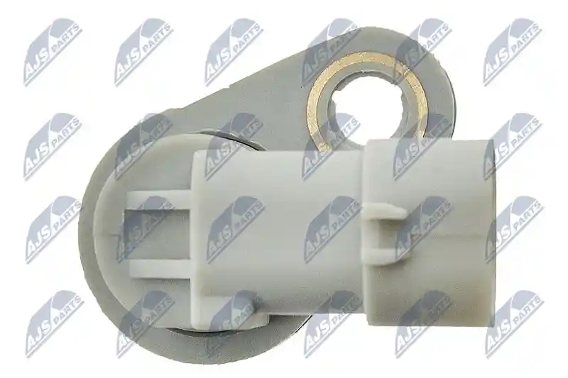 NTY ECP-AR-002