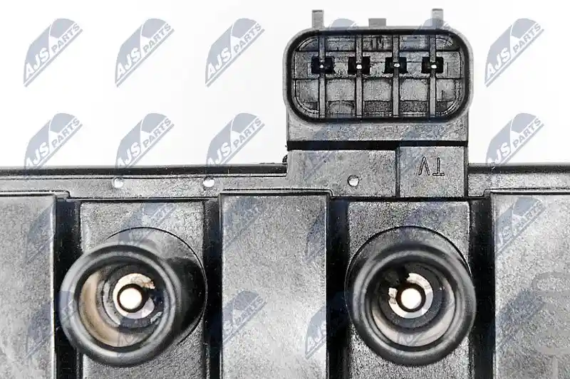 NTY ECZ-FR-020