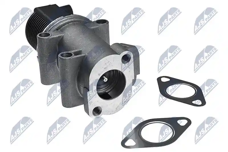 NTY EGR-AR-001