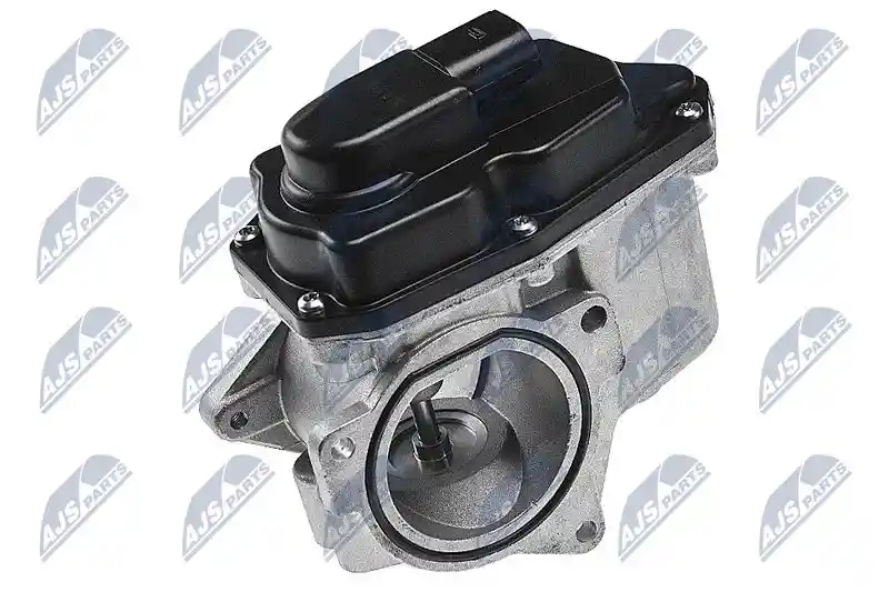 NTY EGR-AU-002