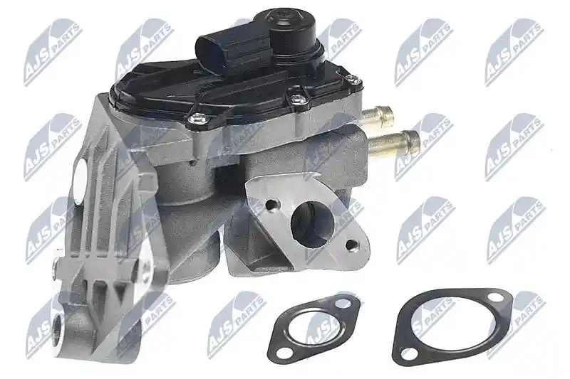 NTY EGR-AU-011