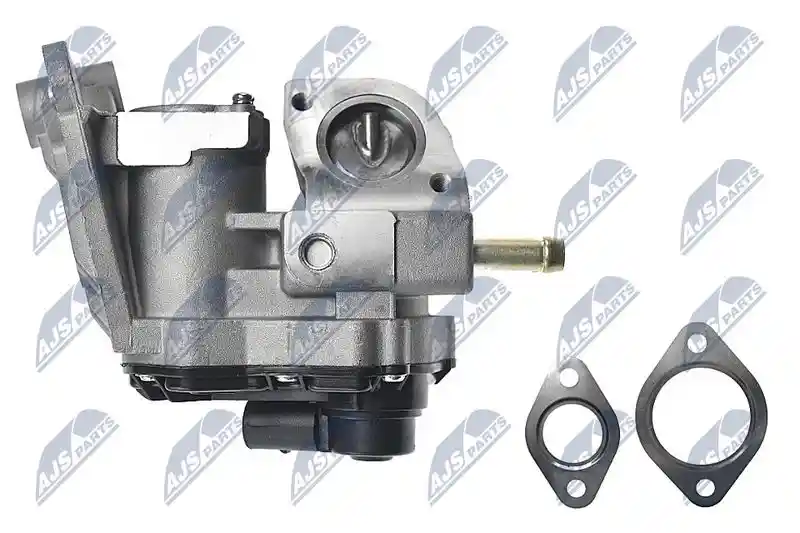 NTY EGR-AU-011