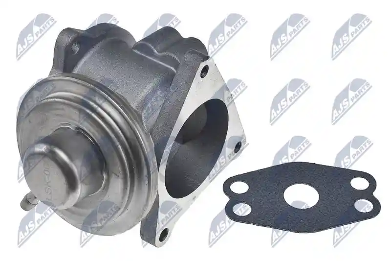 NTY EGR-CH-011