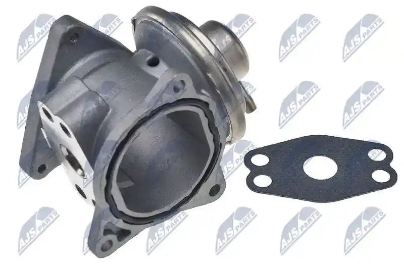 NTY EGR-CH-011