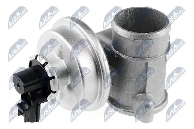 NTY EGR-FR-000 NTY EGR-FR-000