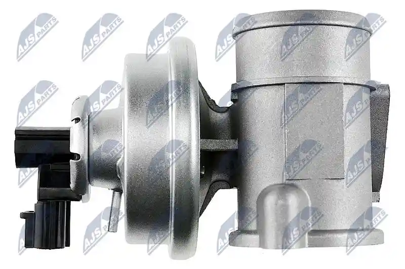 NTY EGR-FR-000 NTY EGR-FR-000
